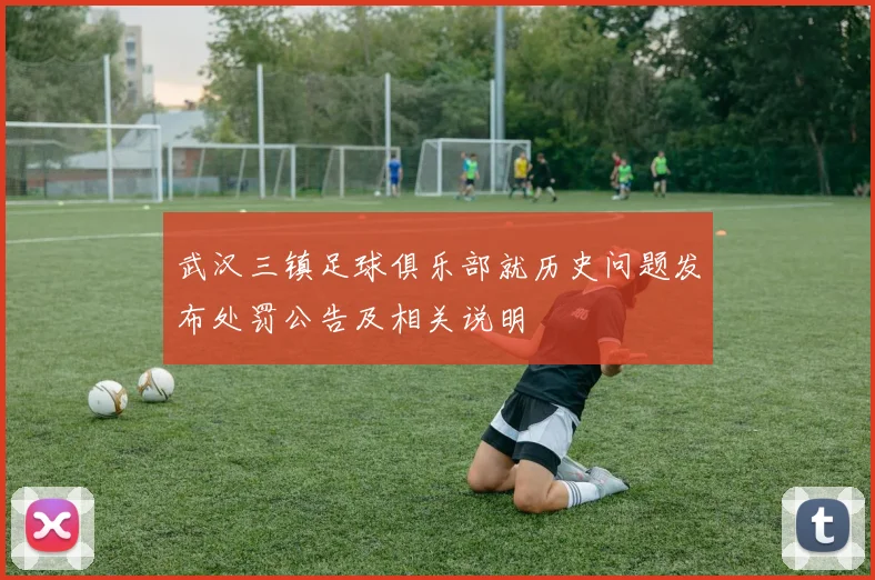 武汉三镇足球俱乐部就历史问题发布处罚公告及相关说明